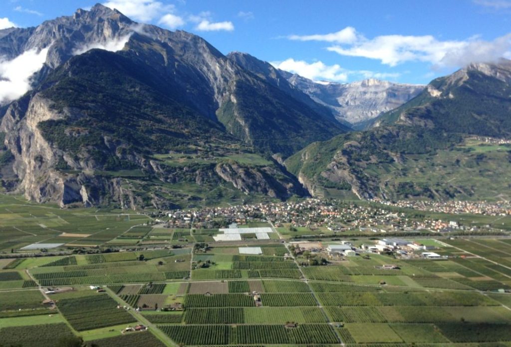 Wallis 3 cropped cropped IMG 0774