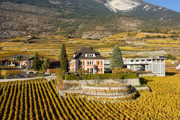 Vins des Chevaliers 3 g11
